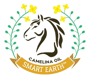 SmartEarth Camelina Oil