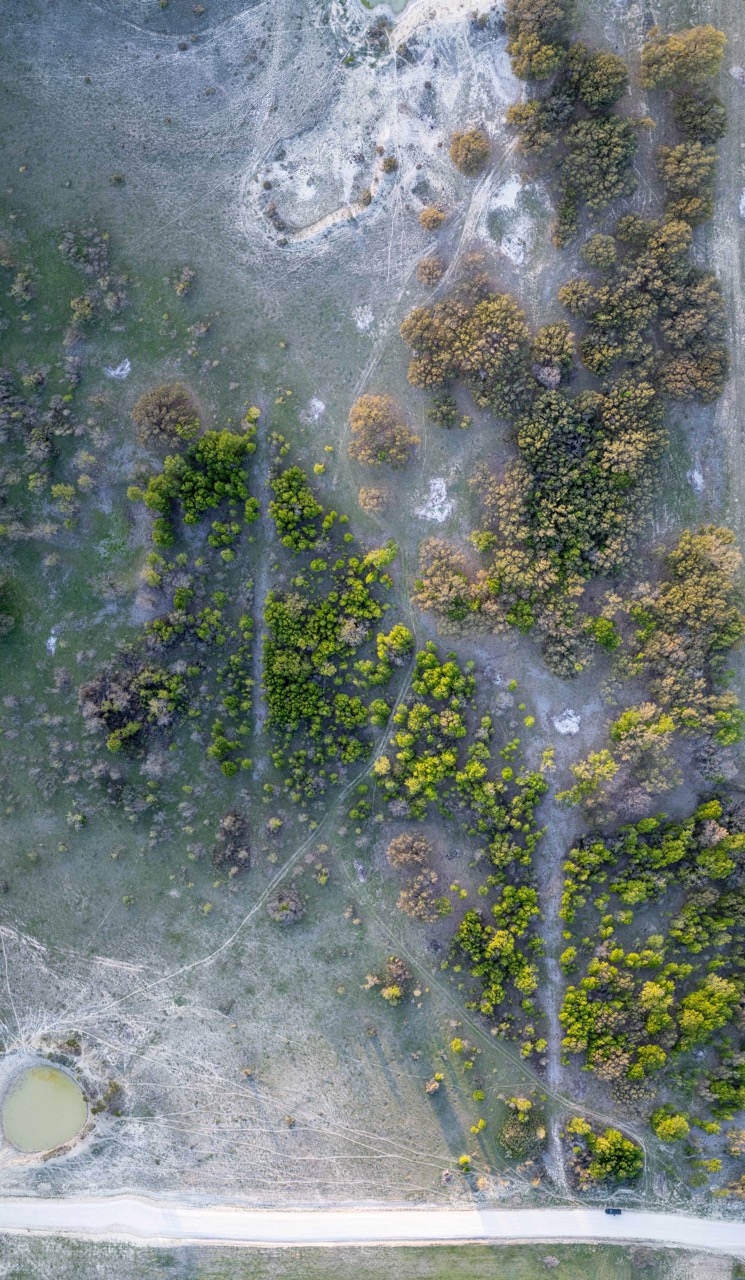 Nadir aerial view of Texas ranchland, drone photography