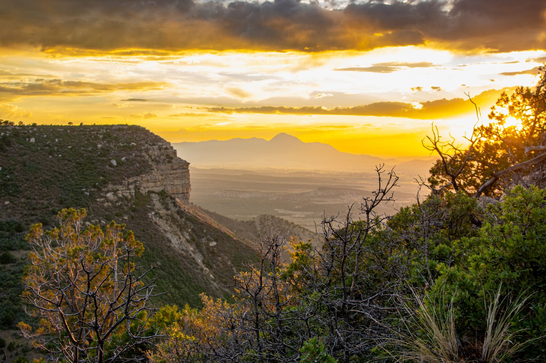 Golden sunset over a cliff overlook at Mesa Verde